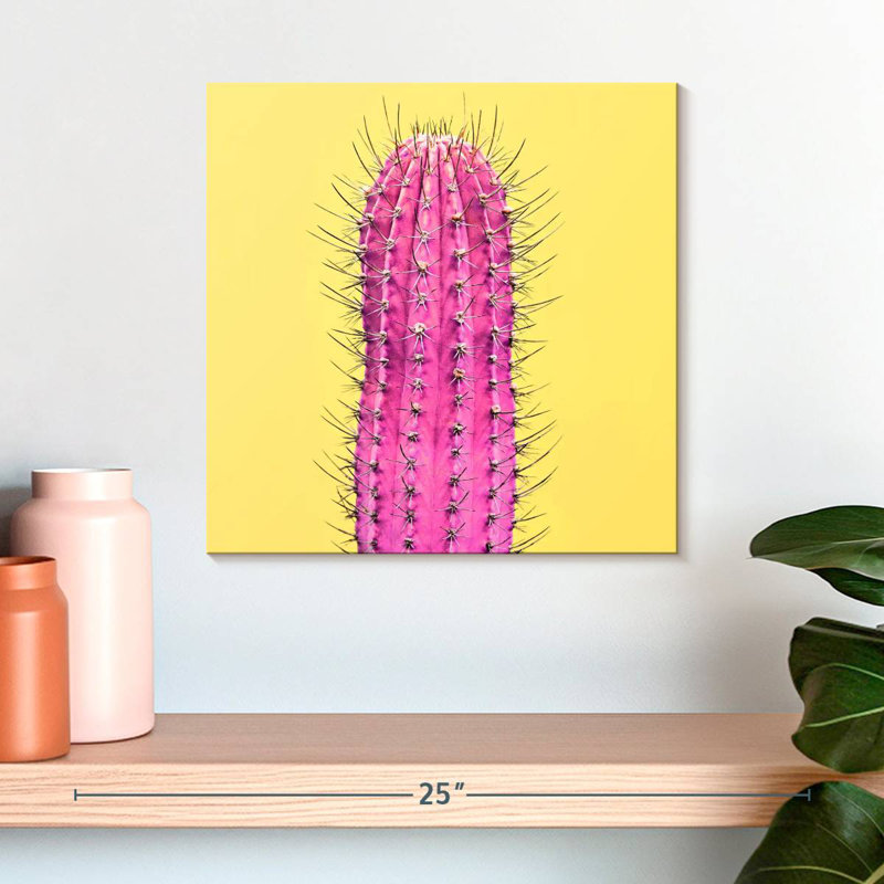 Cactus rose épineux Harnek, H 16 po x l 16 po