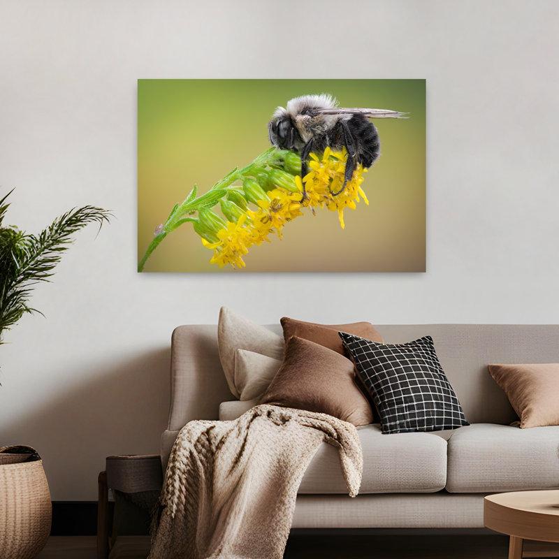 Abeille endormie, fleur jaune délicate et paisible, impression d'art mural nature, H 32 po x l 48 po