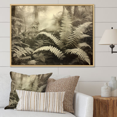 " Green Fern Scenery V "