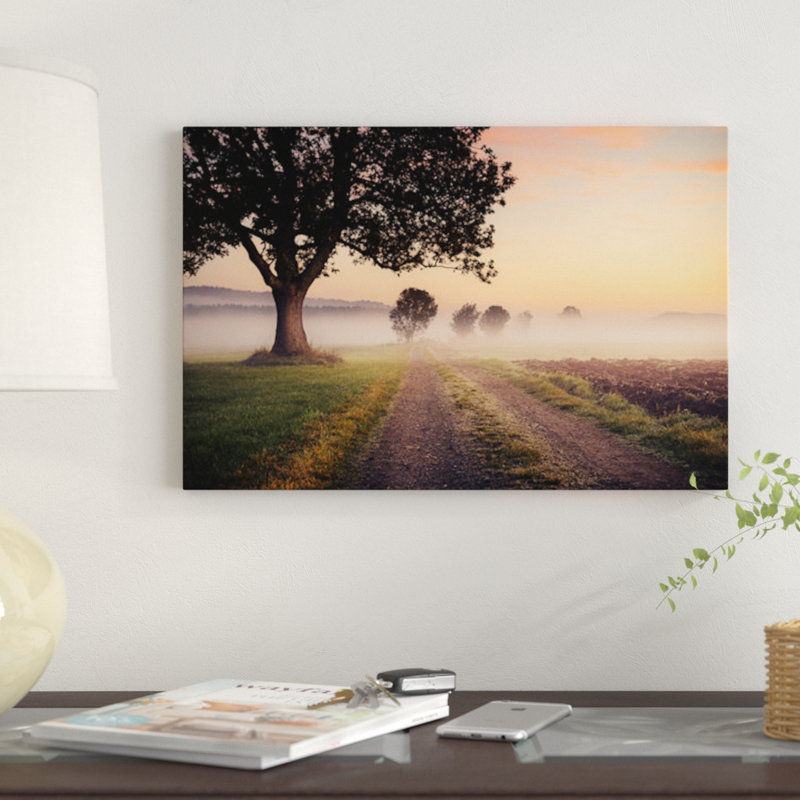 «Fog Pat» par Stefan Hefele - reproduction de photo sur toile tendue, H 18 po x l 26 po x P 1,5 po, Pas de tapis