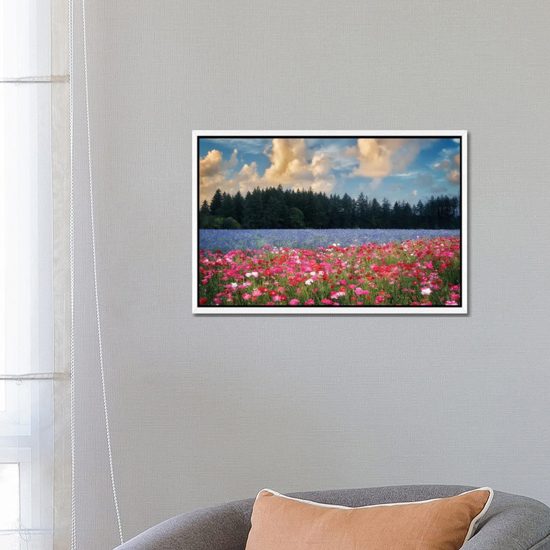 Flower Field Sunrise I by Dennis Frates - Print on Canvas, 45.72cm H x 66.04cm W x 3.81cm D, White Framed