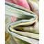 Tapis Verdant-1067618175