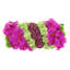 Orchid and  Arrangement-286518433-286518432