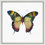 Butterfly Study 9' Framed Graphic Art Print on Glass