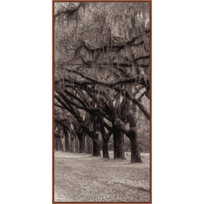 "Nature's Arch Triptych C"