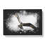 Osprey Bird - Wrapped Canvas-56648436