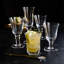 Puccinelli Drinking Glass-2089530676