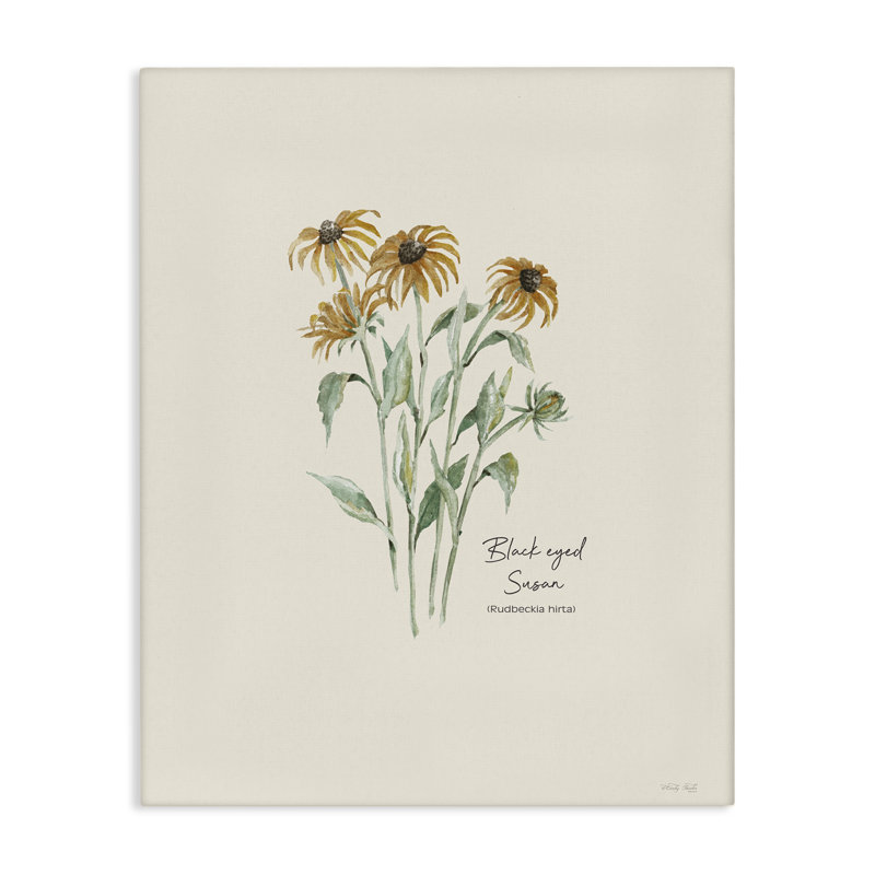 «Black Eyed Susans», art mural sur toile par Cindy Jacobs, H 30 po x l 24 po