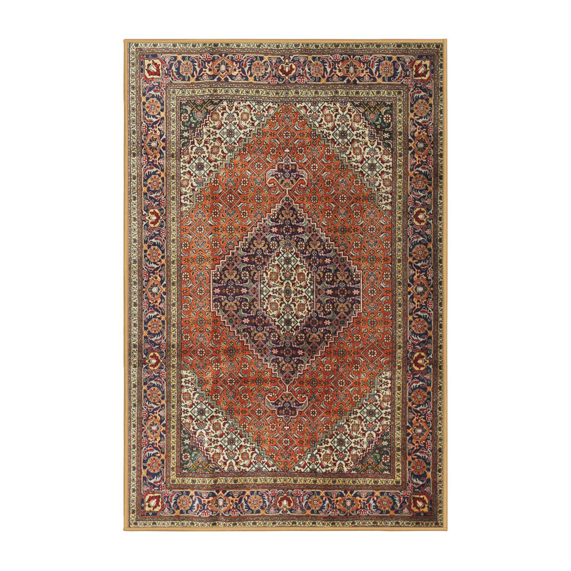 Tapis rouge / brun Izabelle Southwestern, Rectangle 6 pi x 9 pi