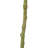 120Cm Artificial - For A Charming Home Decoration And Mesmerizing