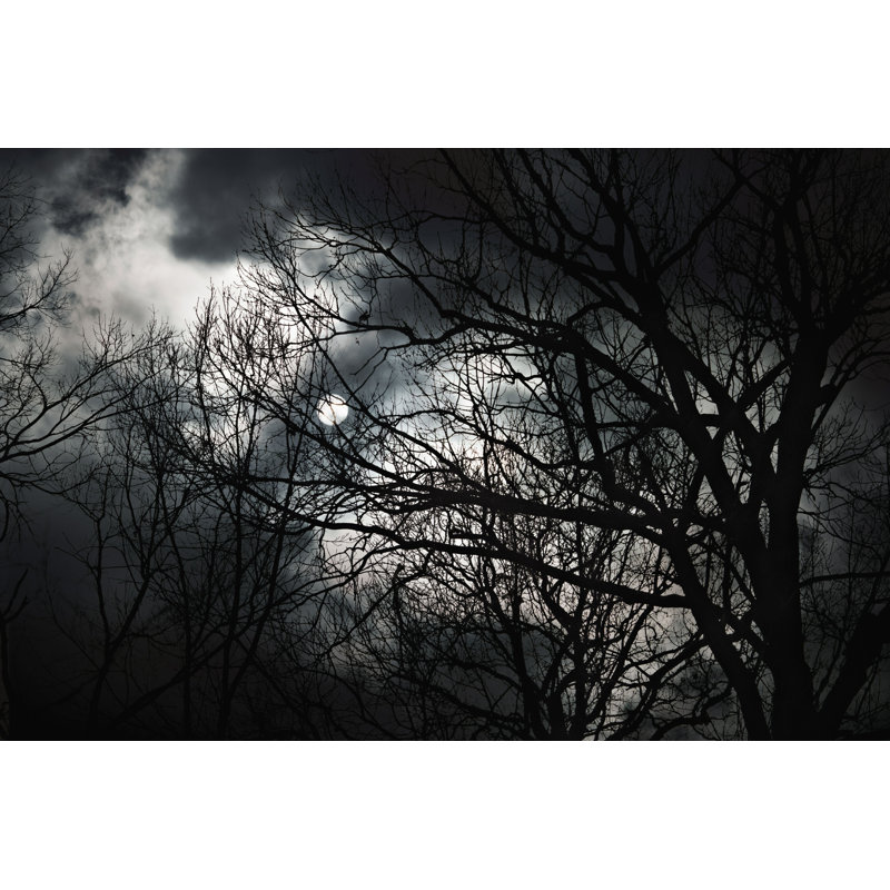 «Halloween Abstract Scenery» par Pashabo - Photographie sur toile tendue, H 8 po x l 12 po