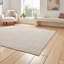 Bahr area rug Machine Woven Rectangle Brown-126862049