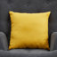 Nicolle Accent Chair with Footstool