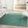 Nourison Essentials Blue/Green Indoor/Outdoor Area Rug
