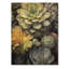«Jameta Green Grey Resilience Succulent» sur impression sur bois-1368101676
