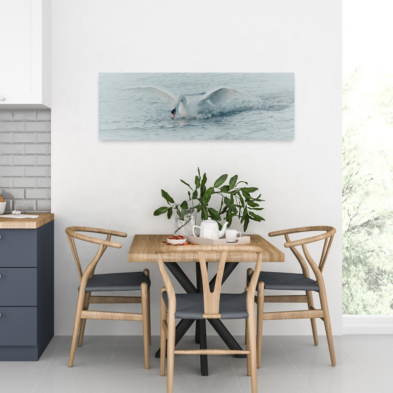 Cygne blanc, éclaboussure, sérénité, sérénité, oiseau, faune, H 12 po x l 36 po