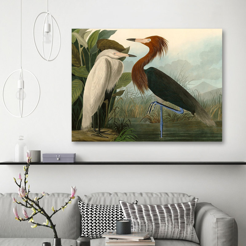 Purple Heron by John Audubon - No Frame Painting on Canvas, 70cm H  x 100cm W  x 4cm D