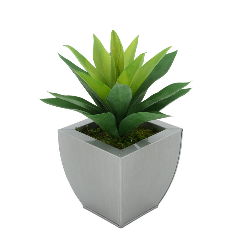 Plante grasse artificielle 7 po en pot, Argent