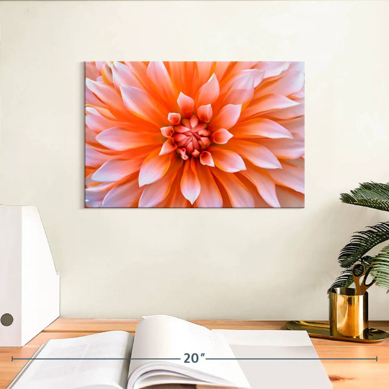 Fleur de dahlia orange blanc Harnek, H 8 po x l 12 po