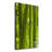 Bamboo Forest - Wrapped Canvas Print