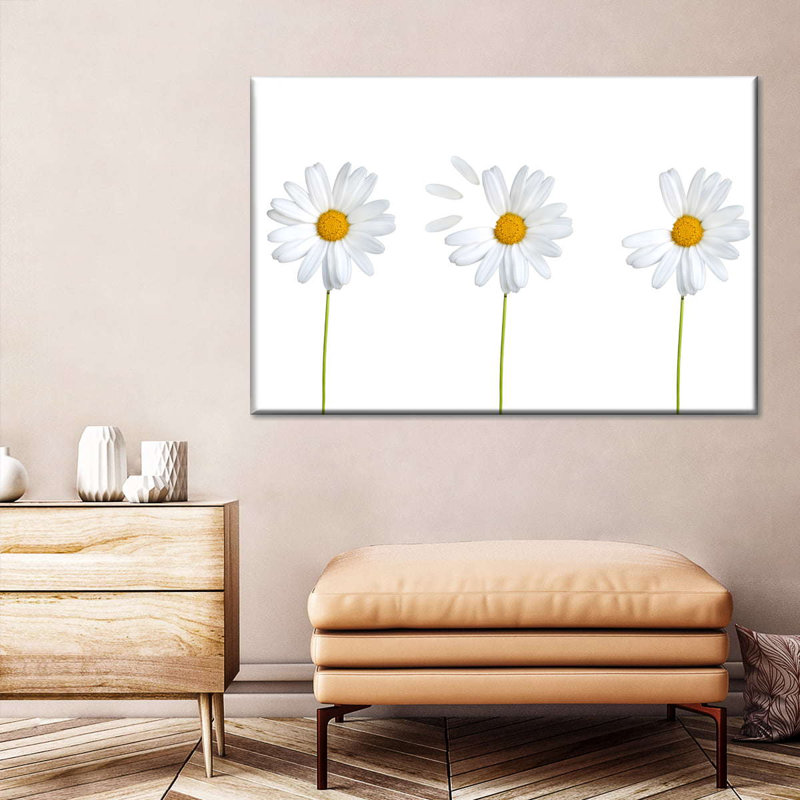 «Plucked Daisies» sur impression sur toile, H 8 po x l 12 po x P 1 po