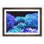Neon Coral - Picture Frame Graphic Art Print-56861089-56861093