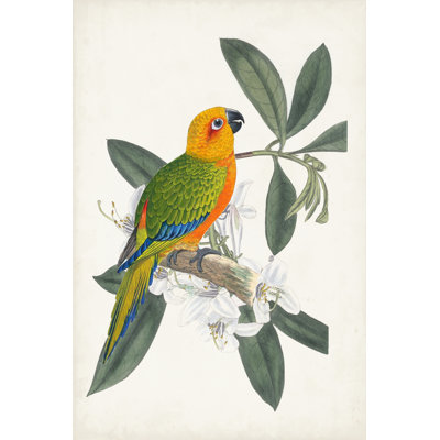 Tropical Bird and Flower I by Vision Studio - Wrapped Canvas Painting