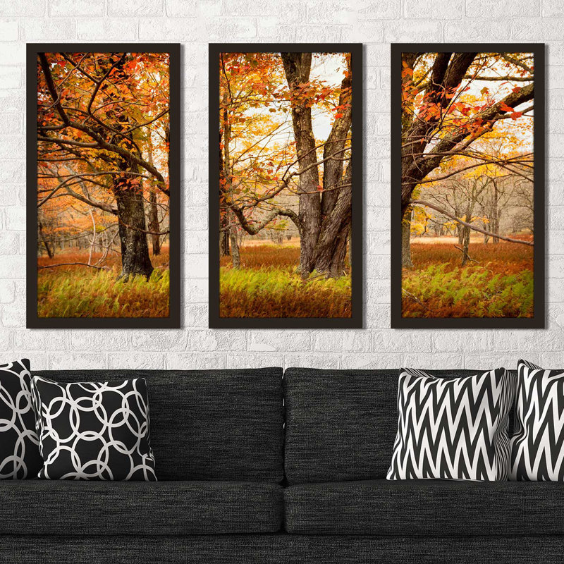 «Crossing Paths» par Andy Amos - ensemble de 3 reproductions de photos encadrées, L 40,5 po x H 25,5 po x P 1 po