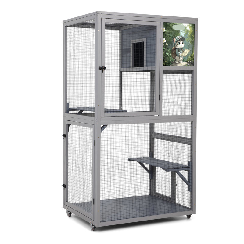 Enceinte d'extérieur pour chat Catio