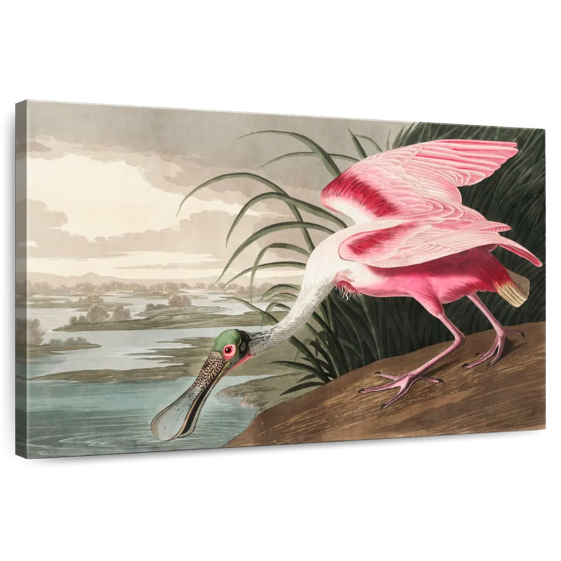 Brampt Roseate Spoonbill, 32" H x 48" W