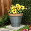 Anael Pot Planter