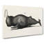 Vintage Toothed Whale Illustration - Wrapped Canvas Print-55370034