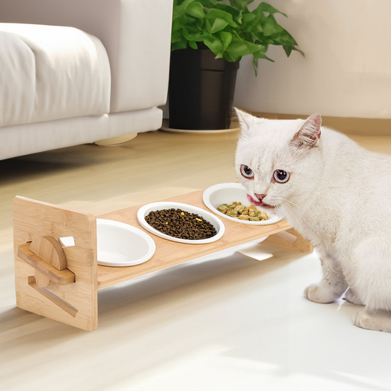 Elevated Feeder