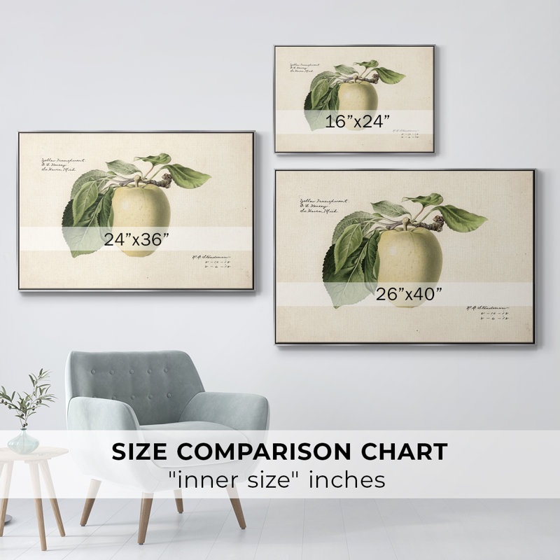 «Vintage Botanical - XLV» sur toile, H 27 po x l 41 po x P 2 po, Toile argentée avec cadre flottant