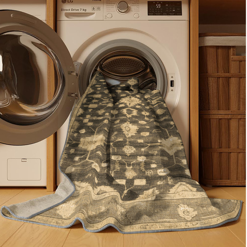 Machine Washable Overdyed Brown Area Rug, Rectangle 2' x 3'