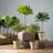 10.75 " H Faux Foliage Tree in Plastic Pot