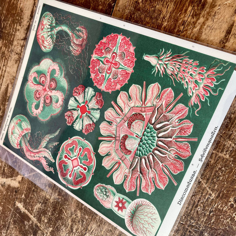 Wall Decor on Metal