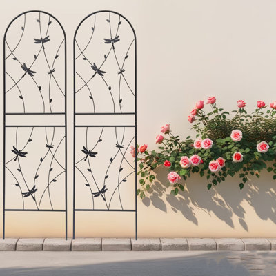 2 Pack Metal Garden Trellis