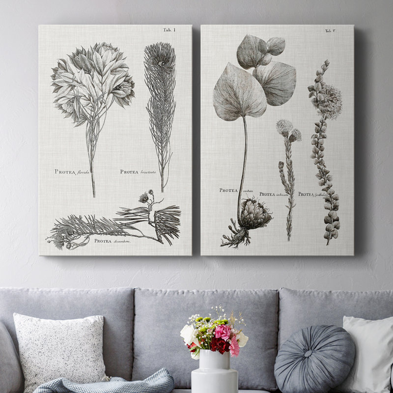 Toile tendue avec châssis noir et blanc Protea on Linen - Prêt à accrocher, H 27 po x l 36 po