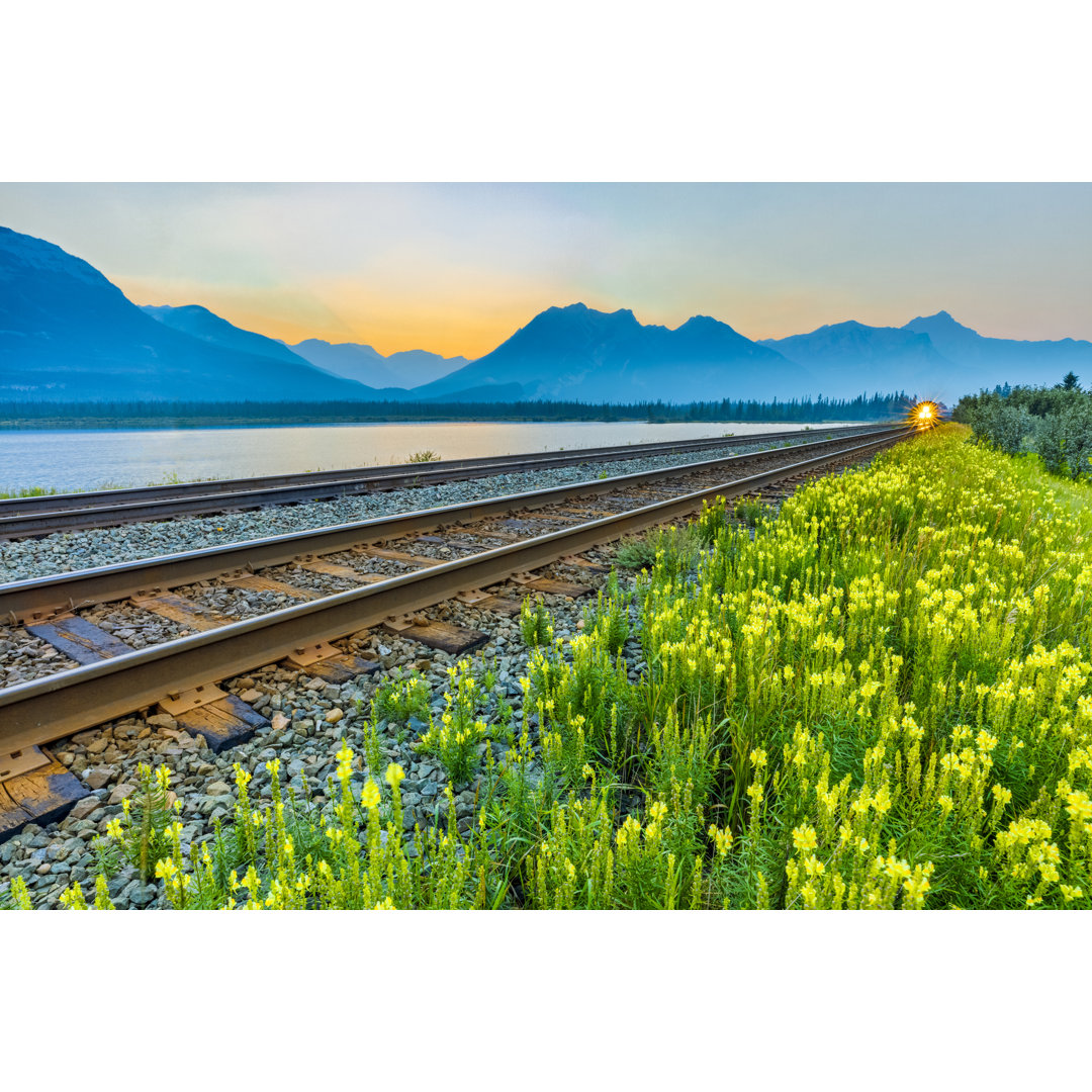 Jasper National Park von Don White - Druck