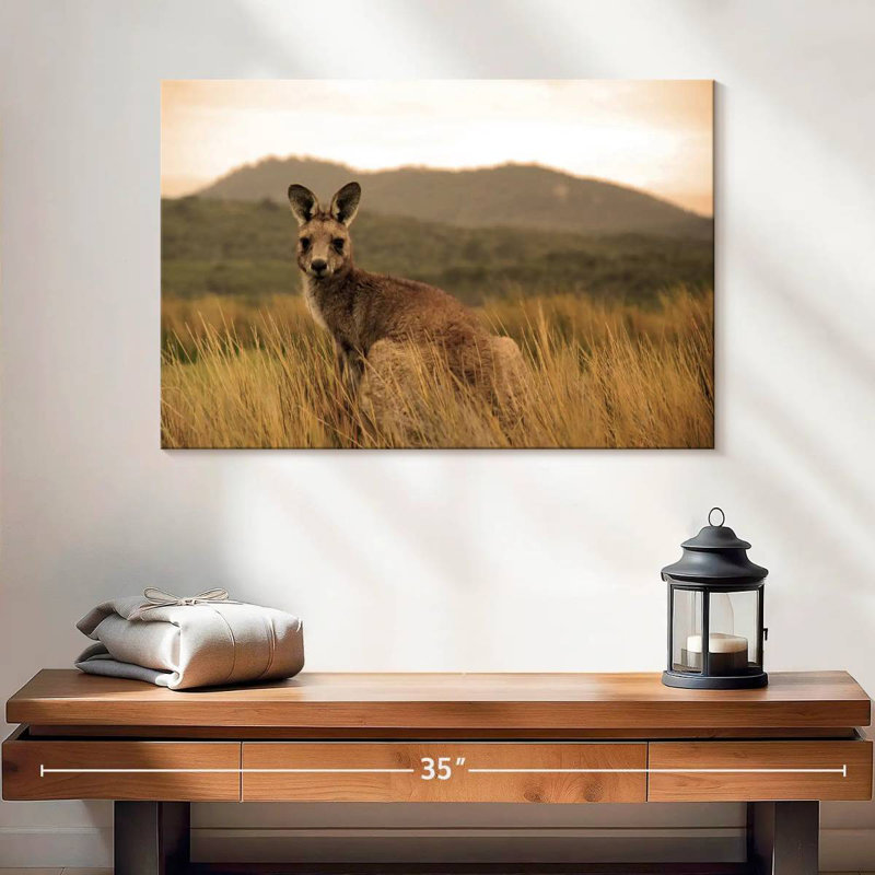 Brampt Wild Kangaroo