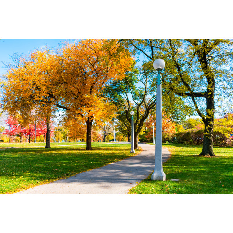 Autumn Trees by James Andrews - Wrapped Canvas Print, 20cm H x 30cm W x 3.8cm D