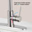 Robinet de cuisine à poignée simple avec plaque de base Topcraft, nickel brossé-102192997