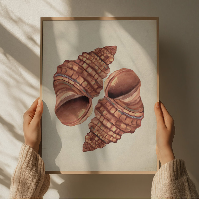 Two Conch Shells by Josie George — Still Life Wall Art, 40 × 60, Framed Print, Tan