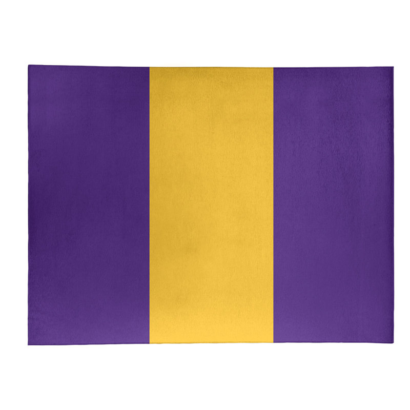 Tapis de zone en poly à rayures de football de minnesota, Rectangle 9 pi x 12 pi