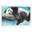Relax Relax, impression sur toile-32498394-72116862-72116863