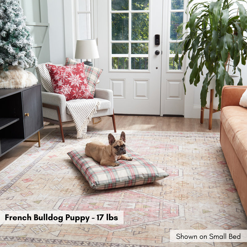 Lit pour chien Ghida Holiday, Moyen (l 42 po x P 42 po x H 4 po)