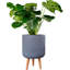 Ribbed Cylinder Planter with Feet-1753896811-1753896806