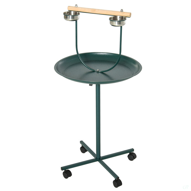 Bird Training Activity Playground With