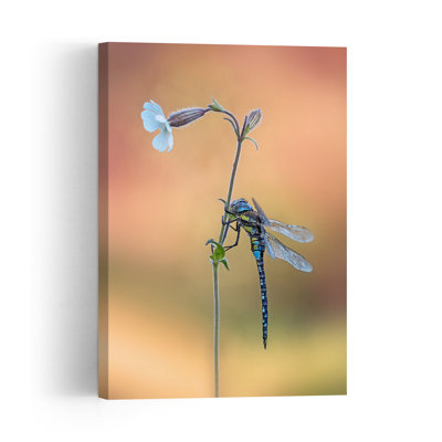 Blue Dragonfly Bloom Delicate Tranquil Dragonfly Flower Nature Wall Art Print by Fabrizio Daminelli - Print